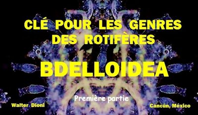 Premiere partie
