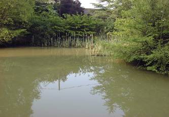 image002